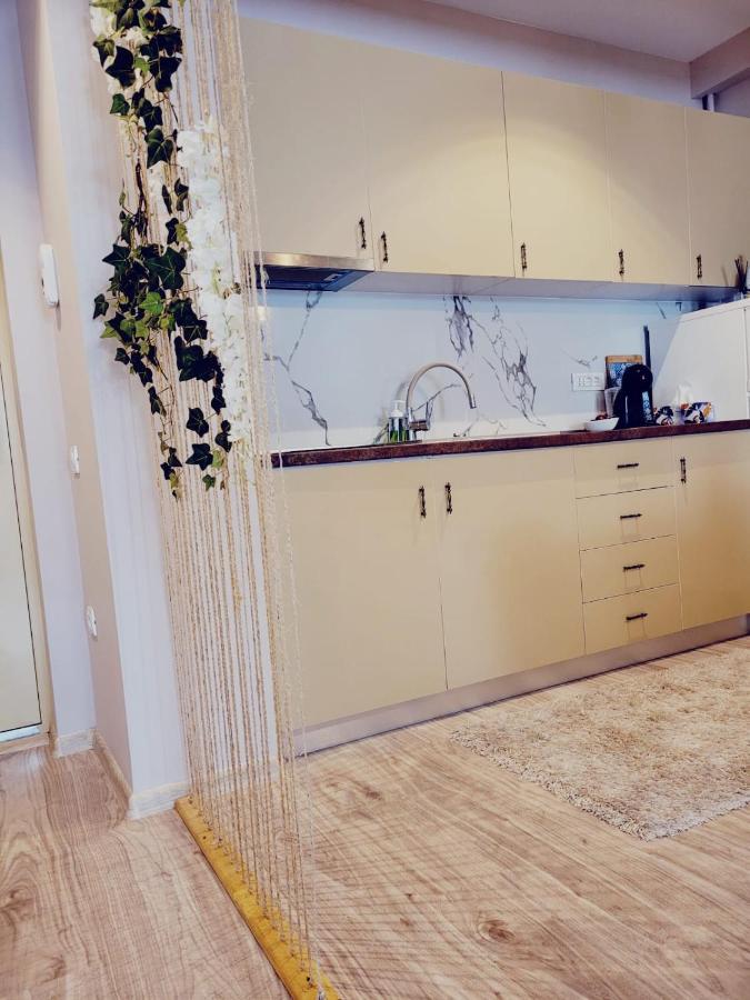 Vega Apartment By Moonlight Mamaia Buitenkant foto
